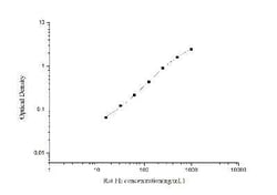 Novus Biologicals™ Rat Ferritin ELISA Kit (Colorimetric)